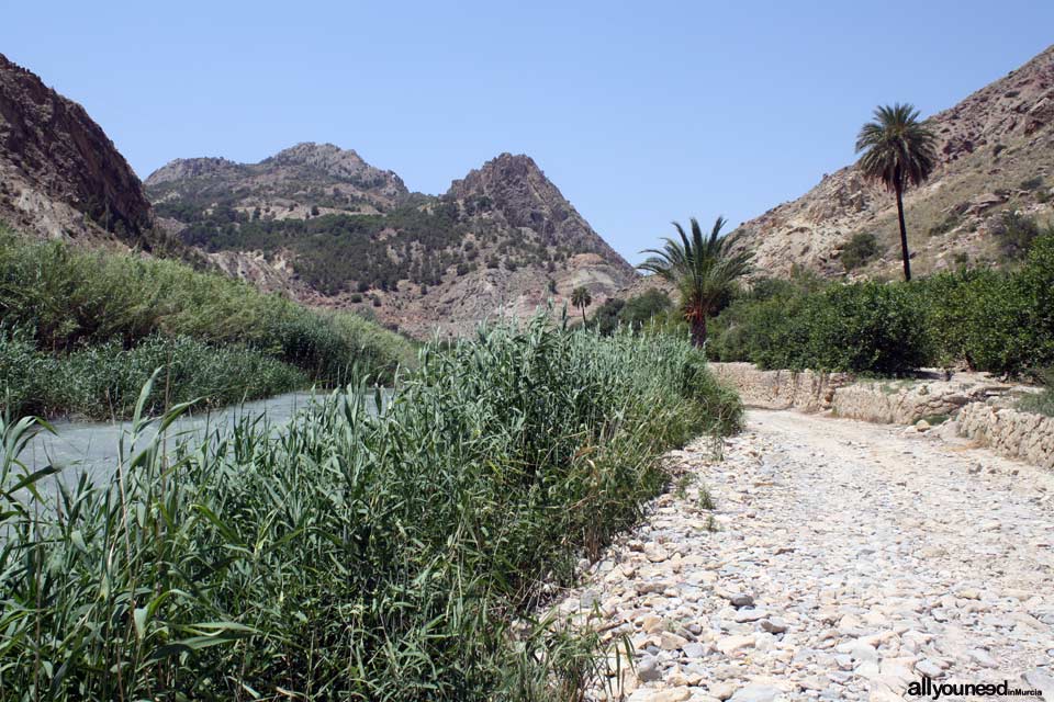 Río Segura en Ojós