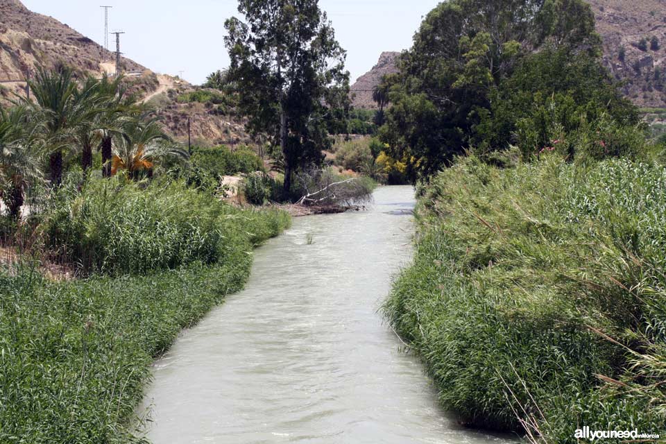 Río Segura en Ojós