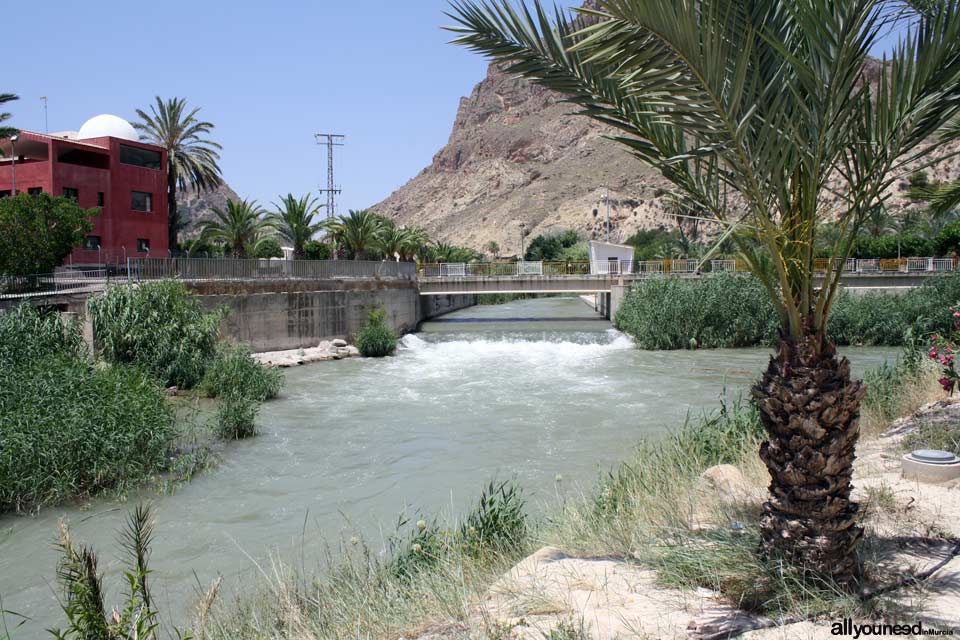 Río Segura en Ojós