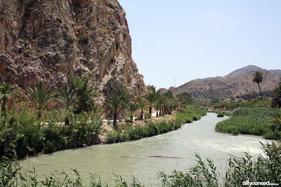 Río Segura en Ojós