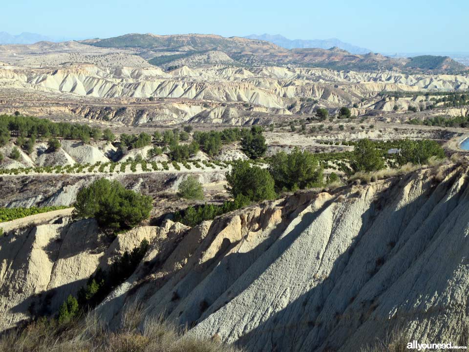 Barrancos de Gebas