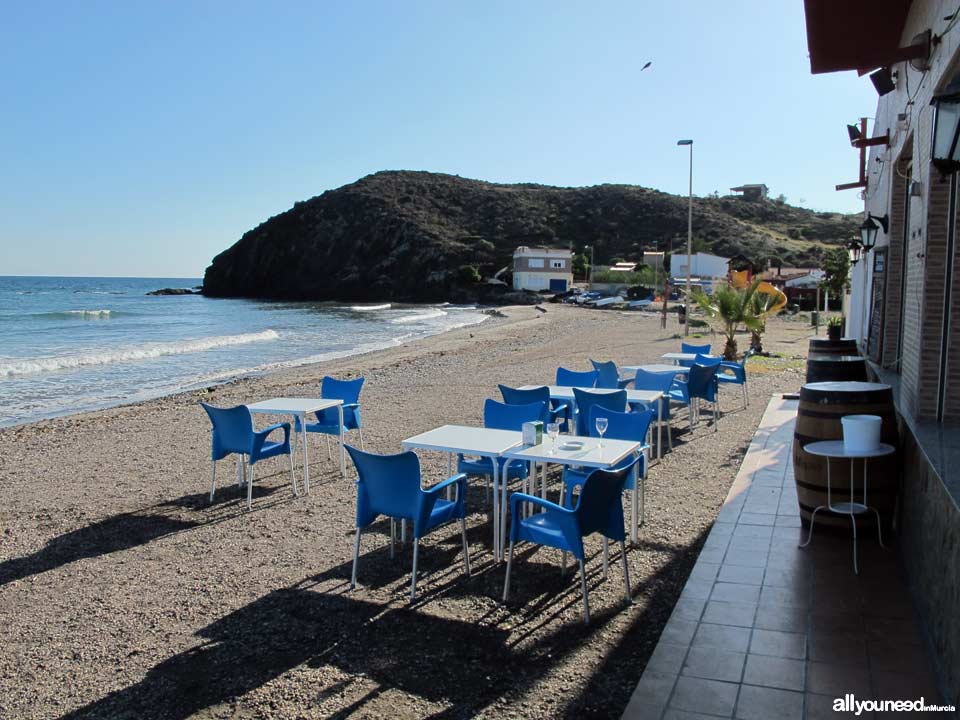 Parque Regional de Cabo Cope y Puntas de Calnegre. Puntas de Calnegre