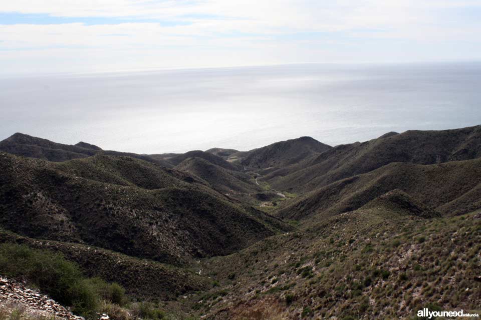 Cabo Cope and Puntas de Calnegre Regional Park