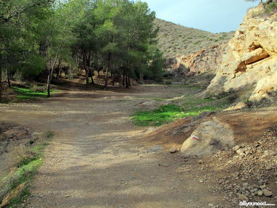 Walking to Monte Roldan