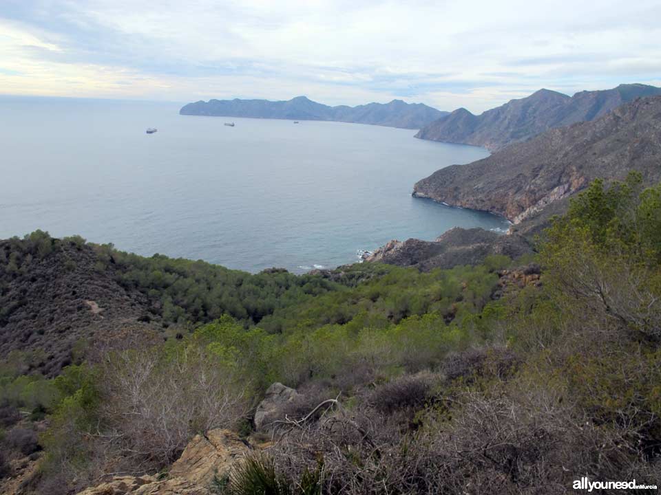 Sierra de la Muela. Cabo Tiñoso