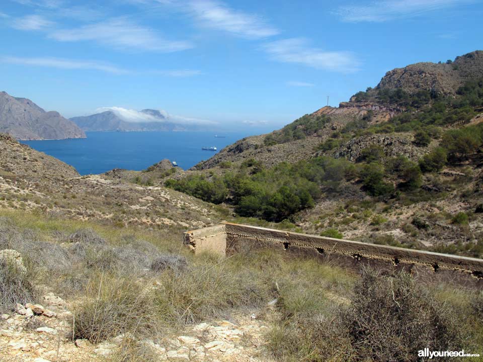 Route to Cerrada Cove. Tiñoso Cape