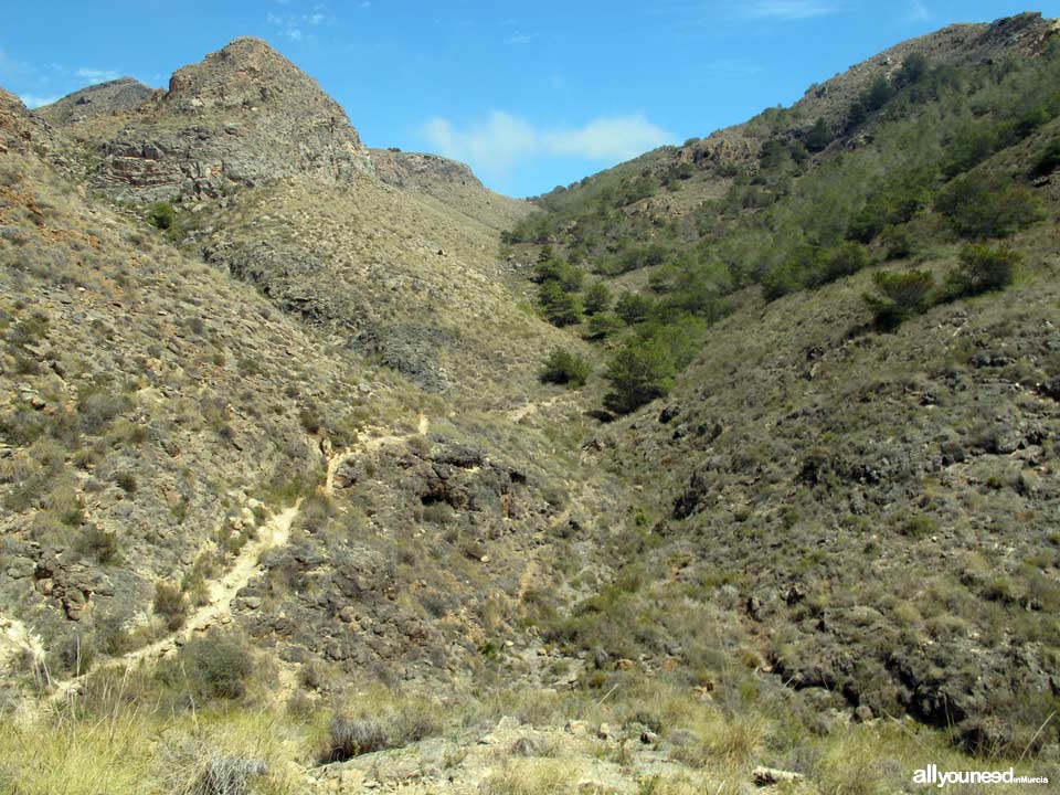 Ruta a Cala Cerrada. Cabo Tiñoso