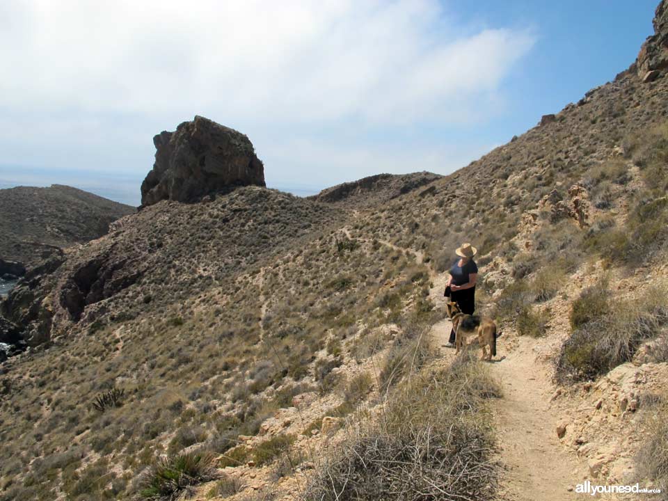 Route to Cerrada Cove. Tiñoso Cape