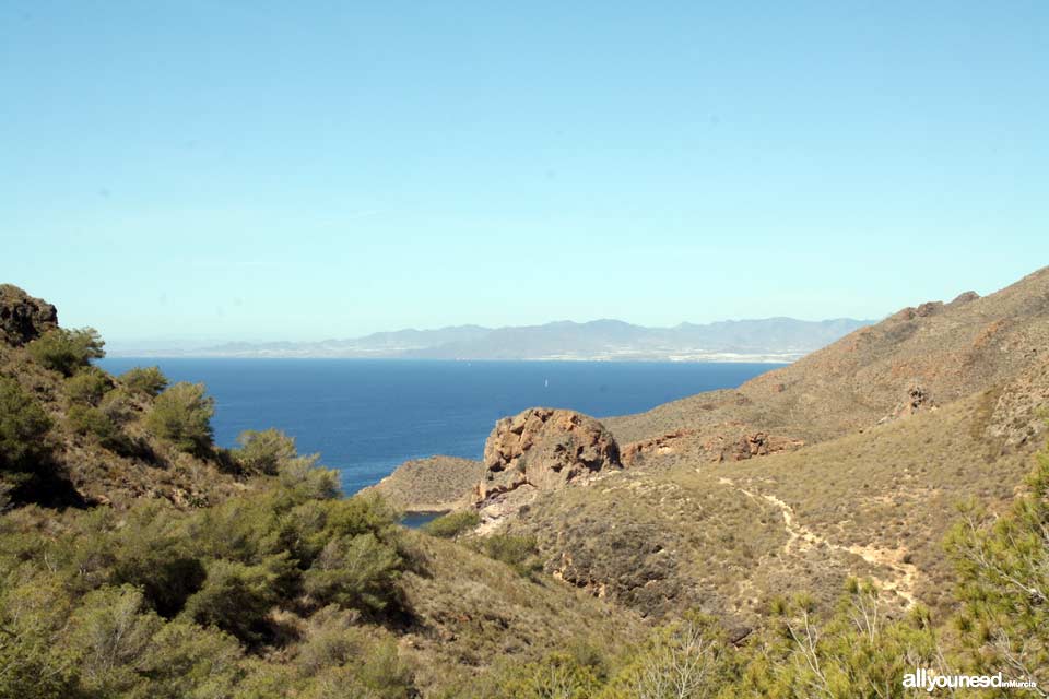 Ruta a Cala Cerrada. Cabo Tiñoso