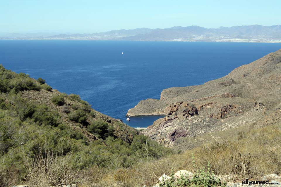 Ruta a Cala Cerrada. Cabo Tiñoso