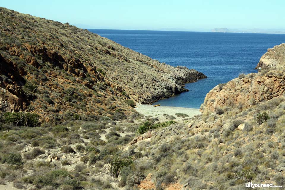 Ruta a Cala Cerrada. Cabo Tiñoso