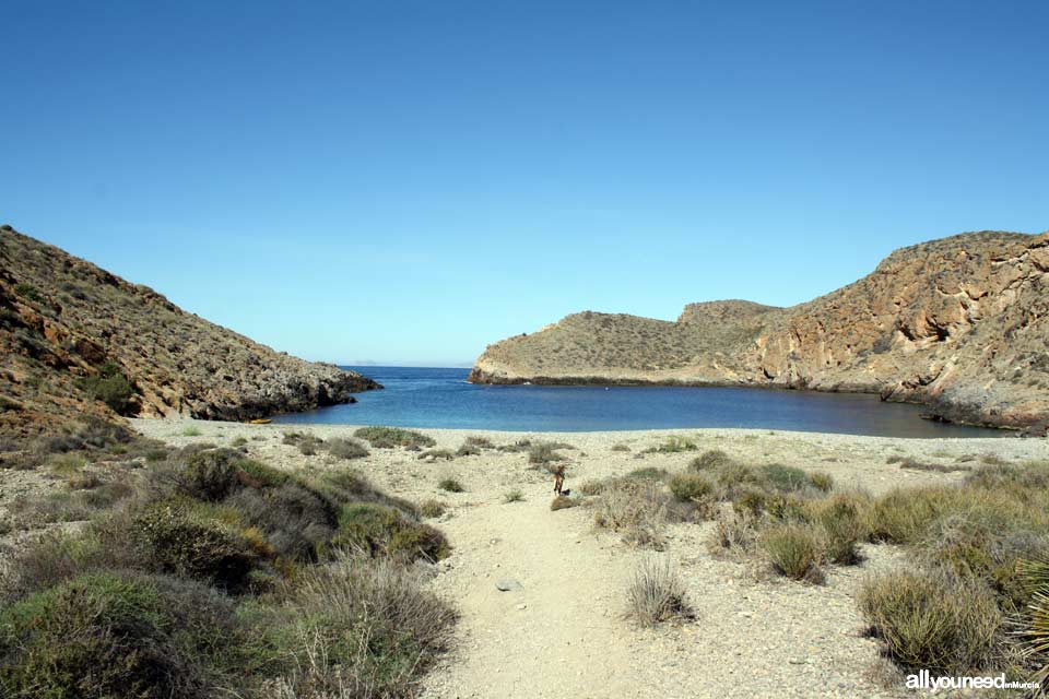 Route to Cerrada Cove. Tiñoso Cape, Cerrada Cove