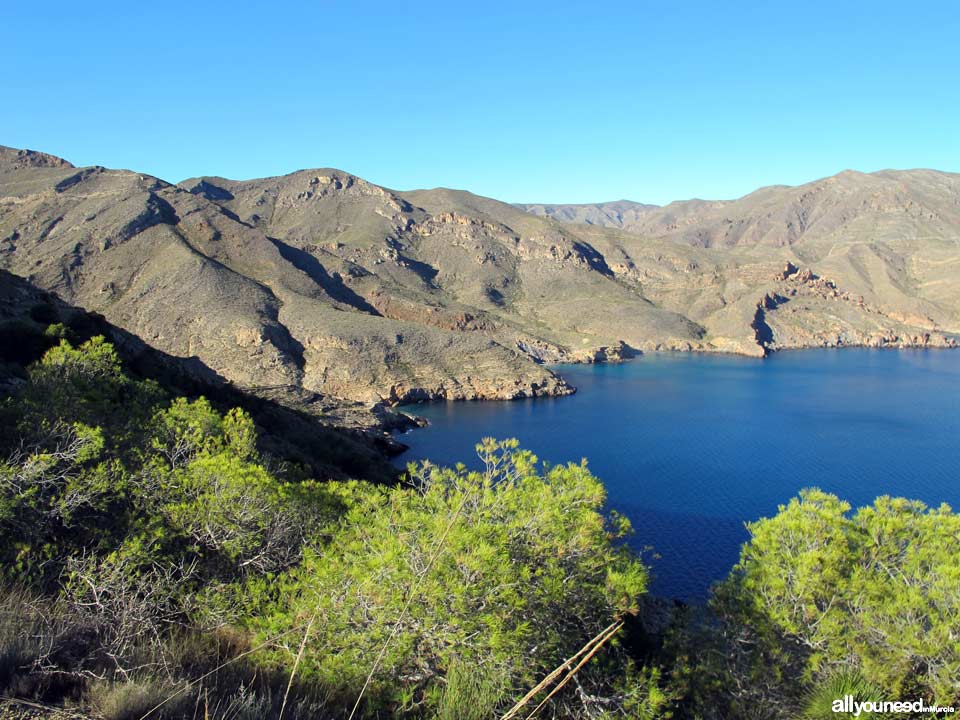 Ruta Cabo Tiñoso (Castillitos)- Cala Salitrona. 1 SL-MU