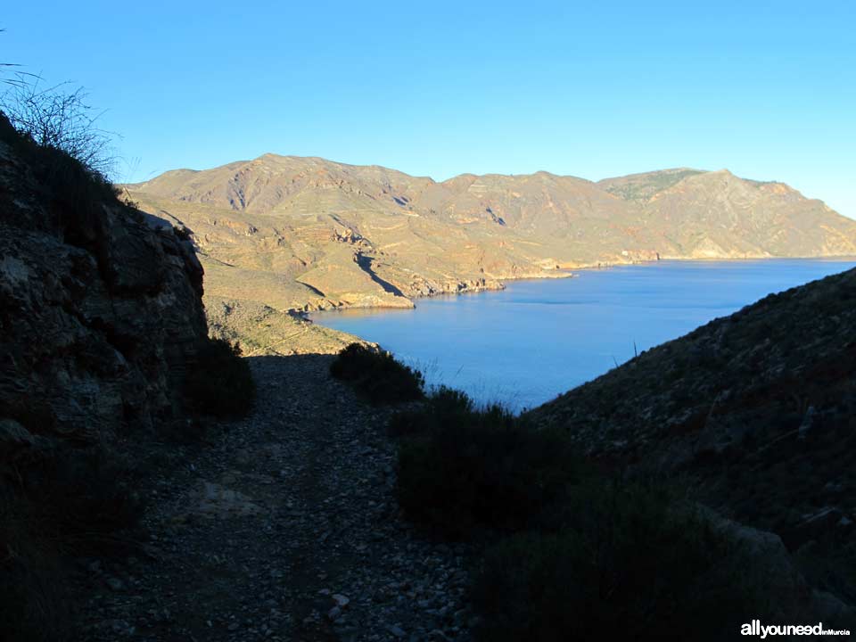 Ruta Cabo Tiñoso (Castillitos)- Cala Salitrona. 1 SL-MU