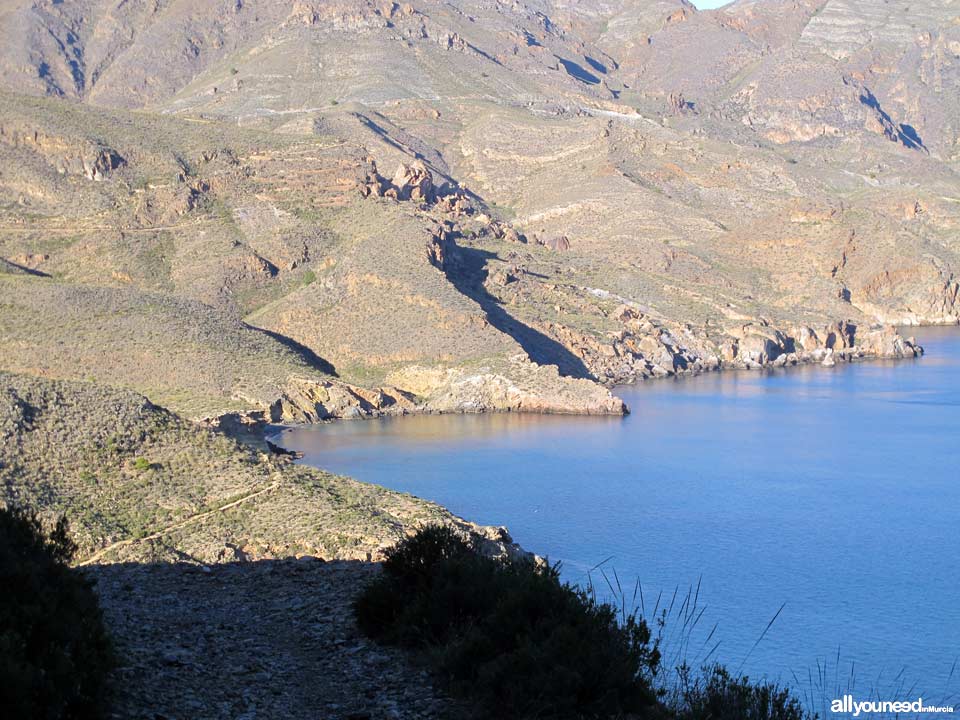 Ruta Cabo Tiñoso (Castillitos)- Cala Salitrona. 1 SL-MU