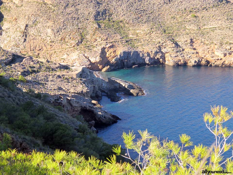 Ruta Cabo Tiñoso (Castillitos)- Cala Salitrona. 1 SL-MU