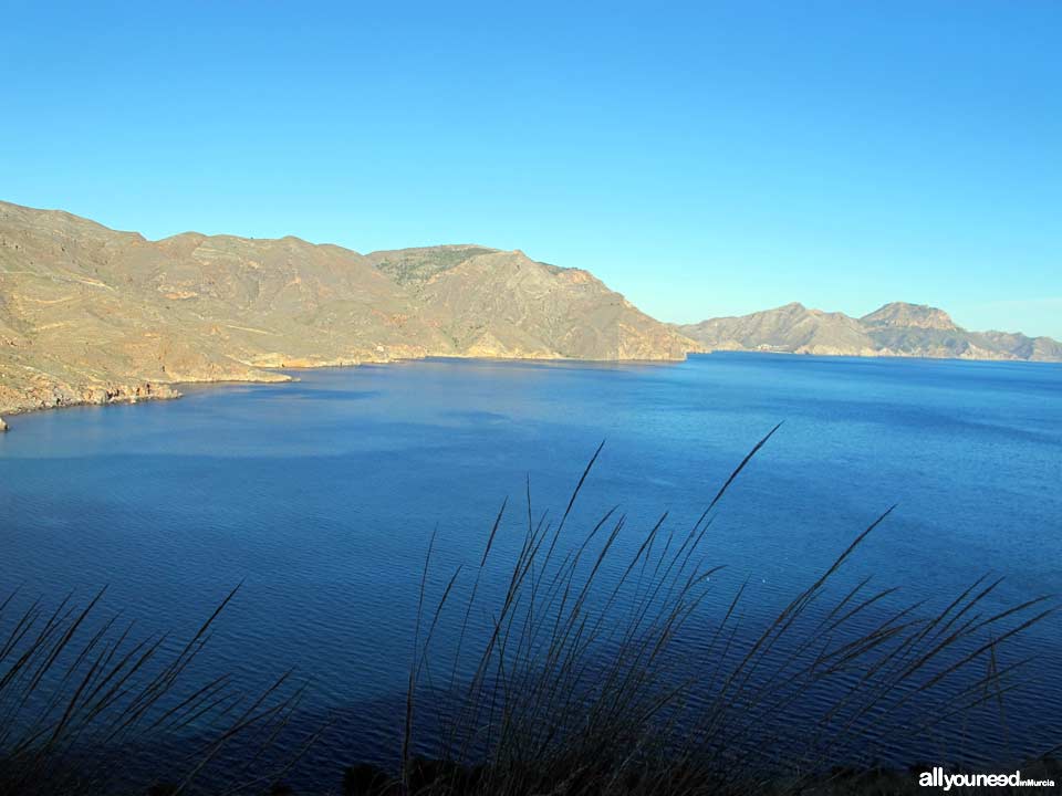 Ruta Cabo Tiñoso (Castillitos)- Cala Salitrona. 1 SL-MU