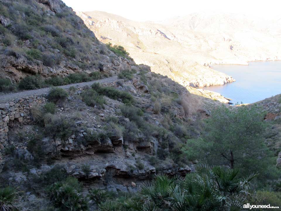 Ruta Cabo Tiñoso (Castillitos)- Cala Salitrona. 1 SL-MU