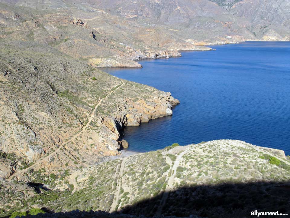 Ruta Cabo Tiñoso (Castillitos)- Cala Salitrona. 1 SL-MU