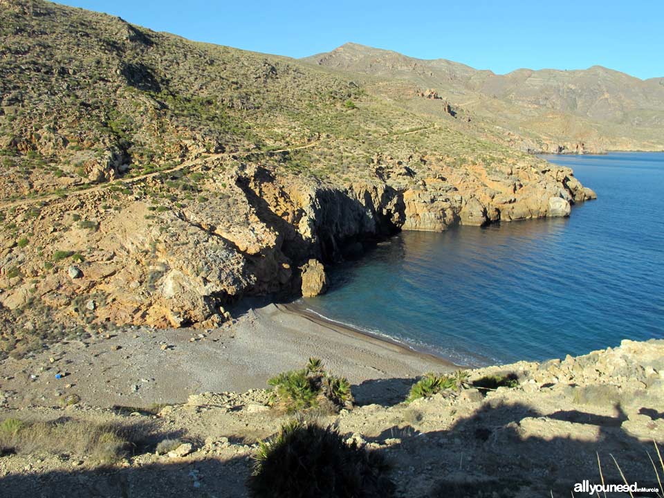 Ruta Cabo Tiñoso (Castillitos)- Cala Salitrona. 1 SL-MU