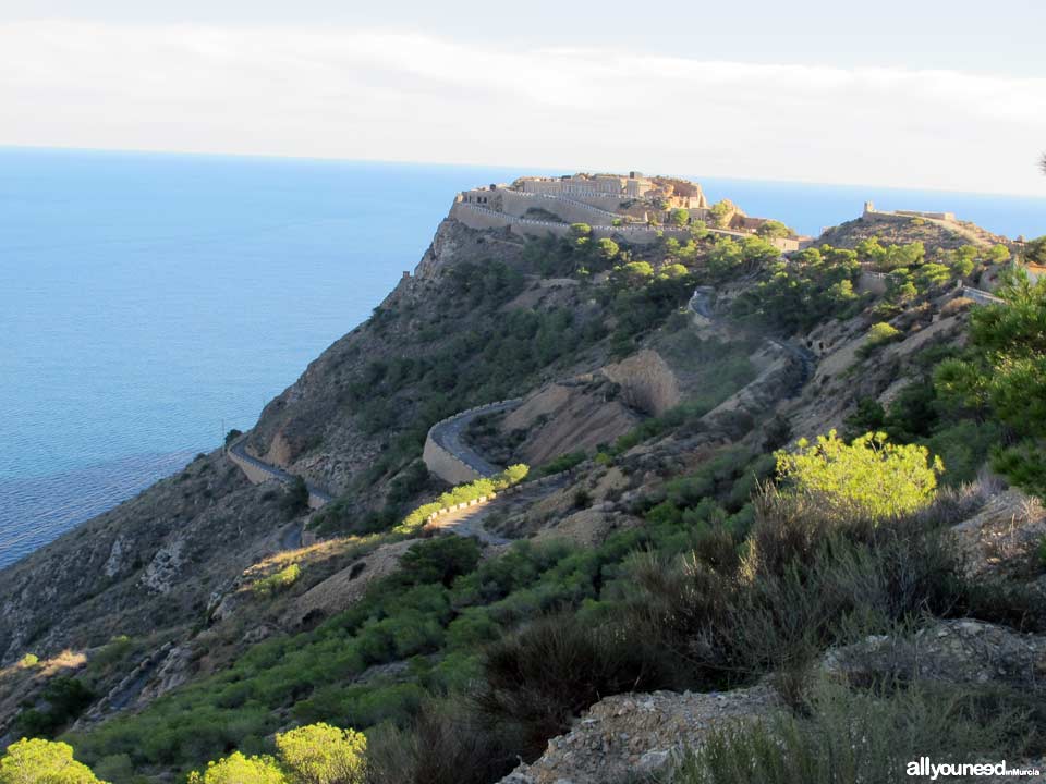 Cabo Tiñoso. Batería de Castillitos