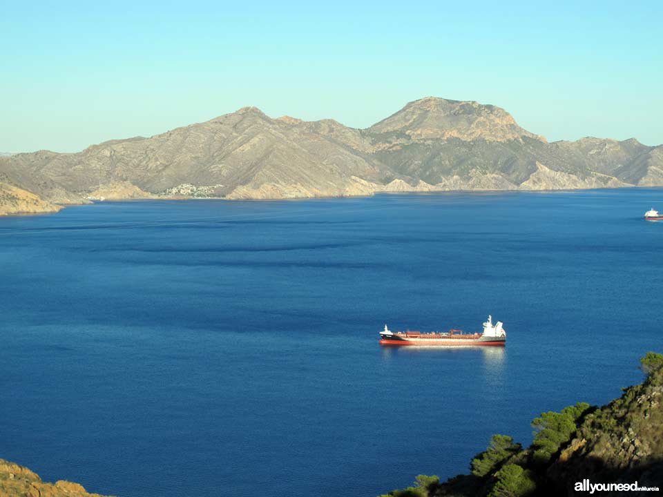 Sierra de la Muela, Tiñoso Cape and Roldán