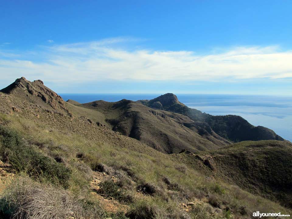 Cabo Tiñoso