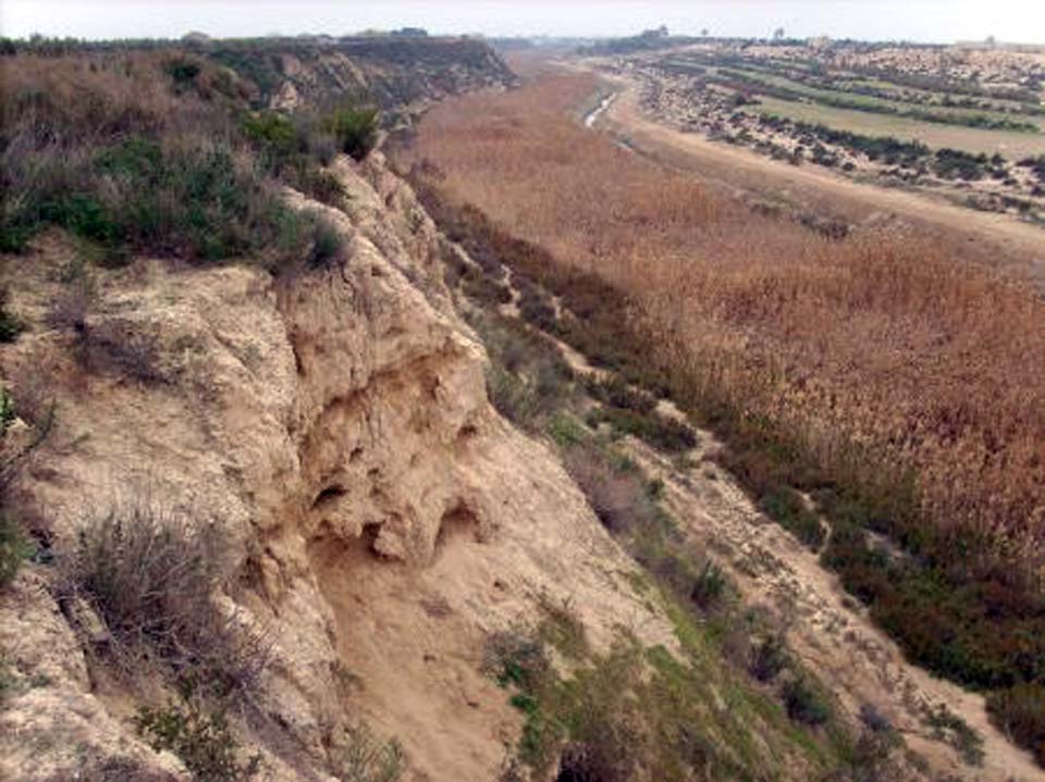 Guadalentín Salt Marshes