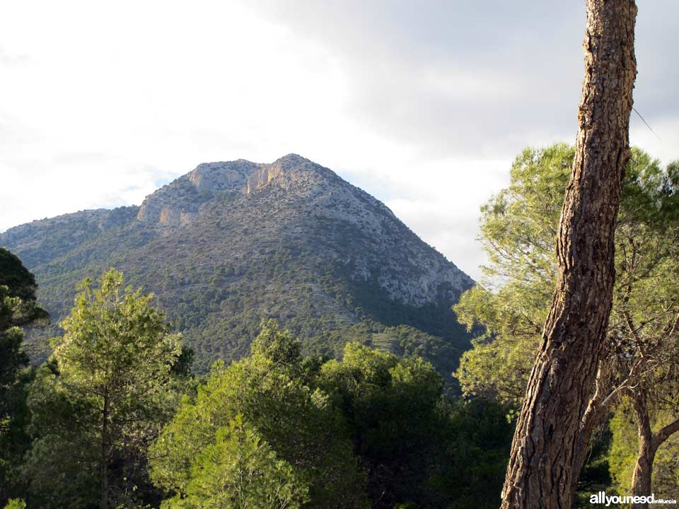 Sierra Espuña Regional Park