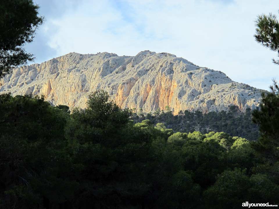 Sierra Espuña Regional Park