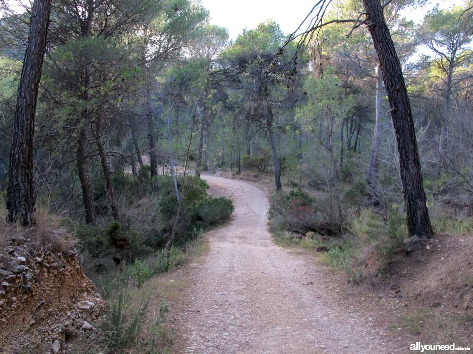 Sierra Espuña Regional Park