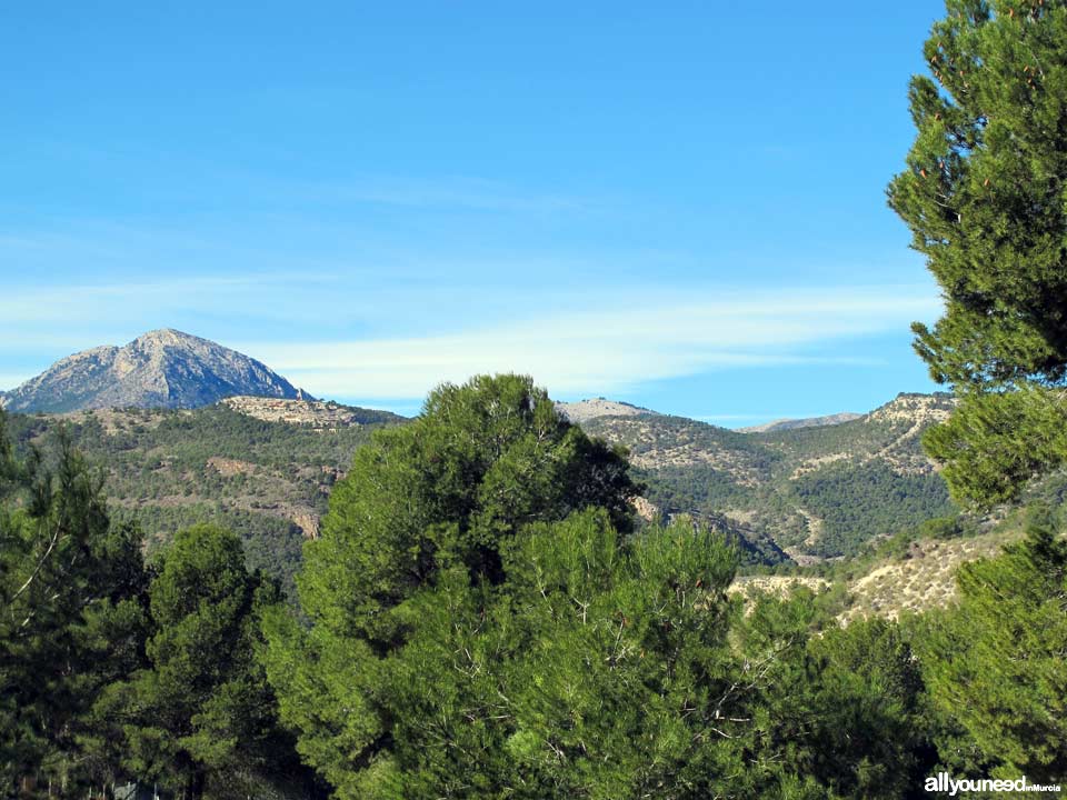 Sierra Espuña Regional Park