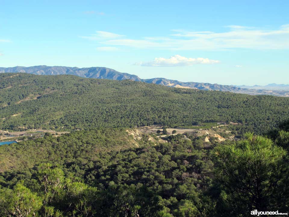 Sierra Espuña Regional Park