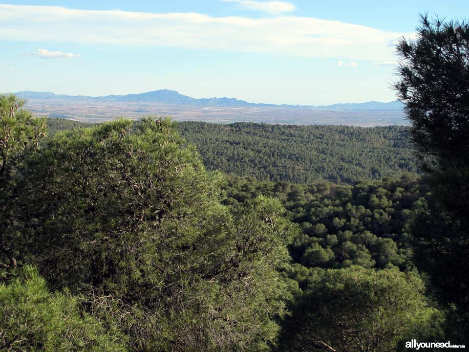 Sierra Espuña Regional Park