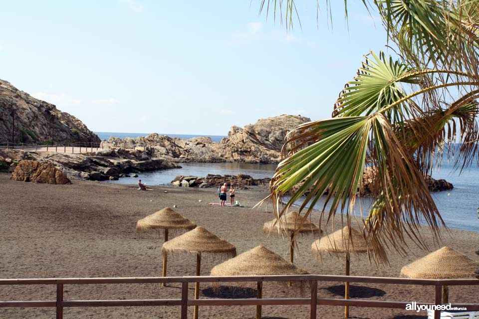 Playa del Lastre. Portman