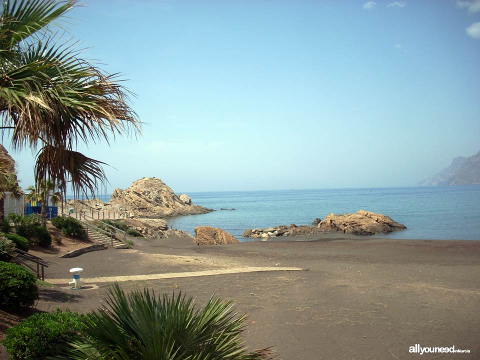Playa del Lastre. Portman