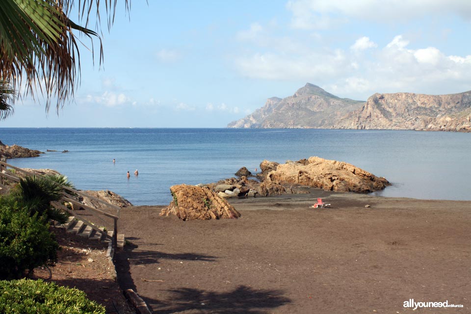 Playa del Lastre. Portman