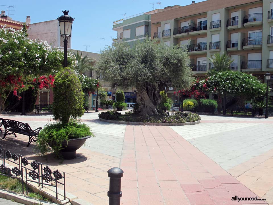 Plaza de la Constitución