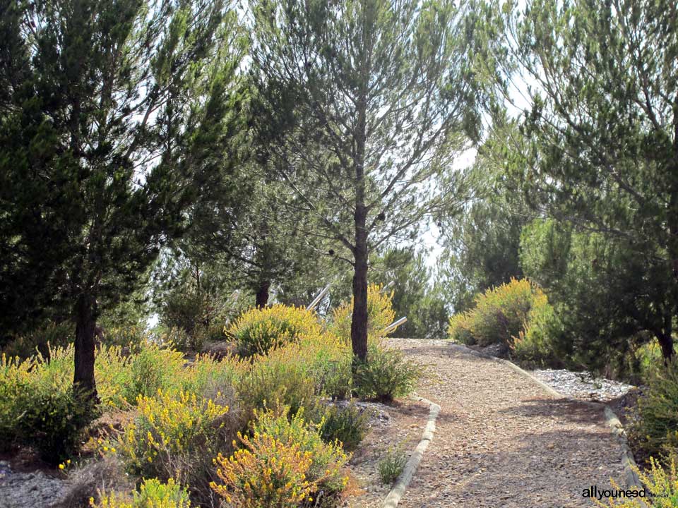 Albergue Juvenil Cabezo Jara en Puerto Lumbreras