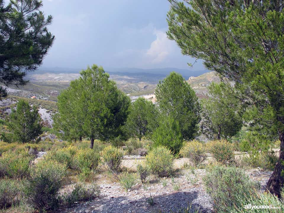 Cabezo de la Jara