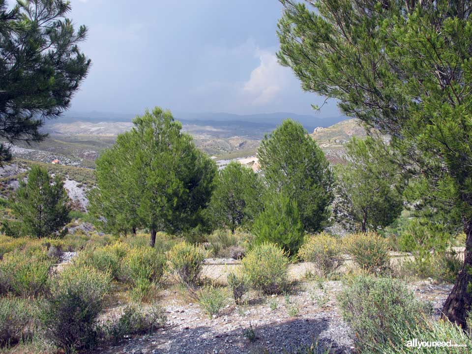 Albergue Juvenil Cabezo Jara en Puerto Lumbreras