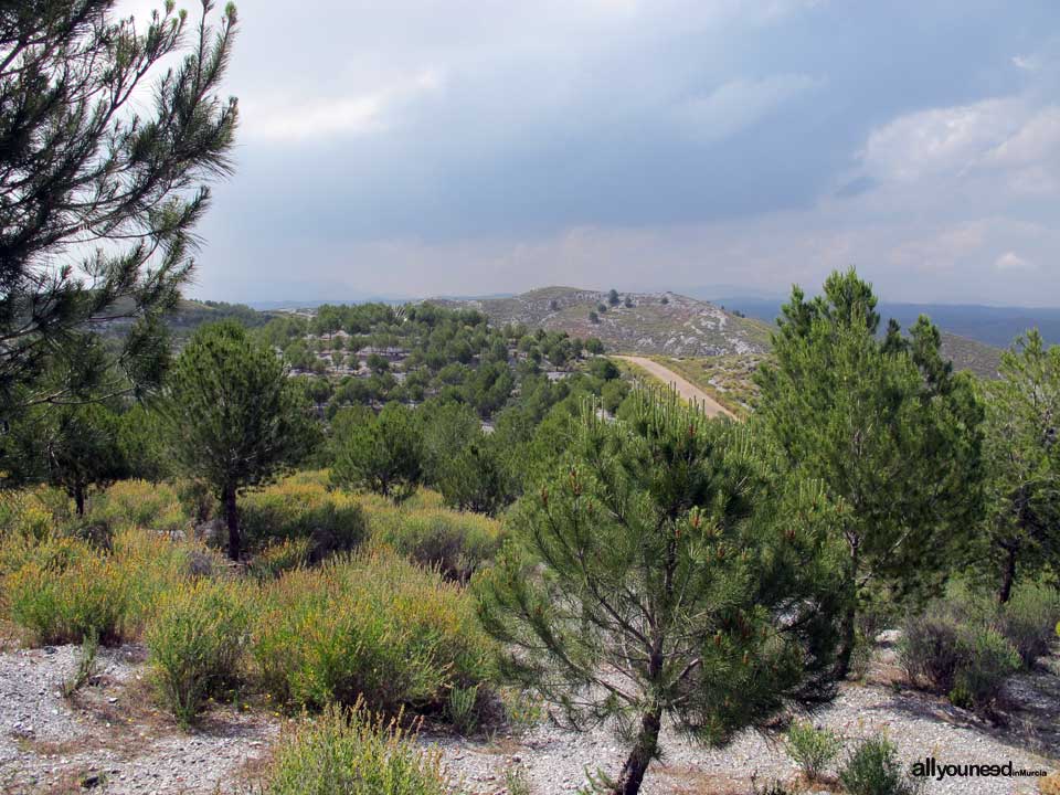 Albergue Juvenil Cabezo Jara en Puerto Lumbreras