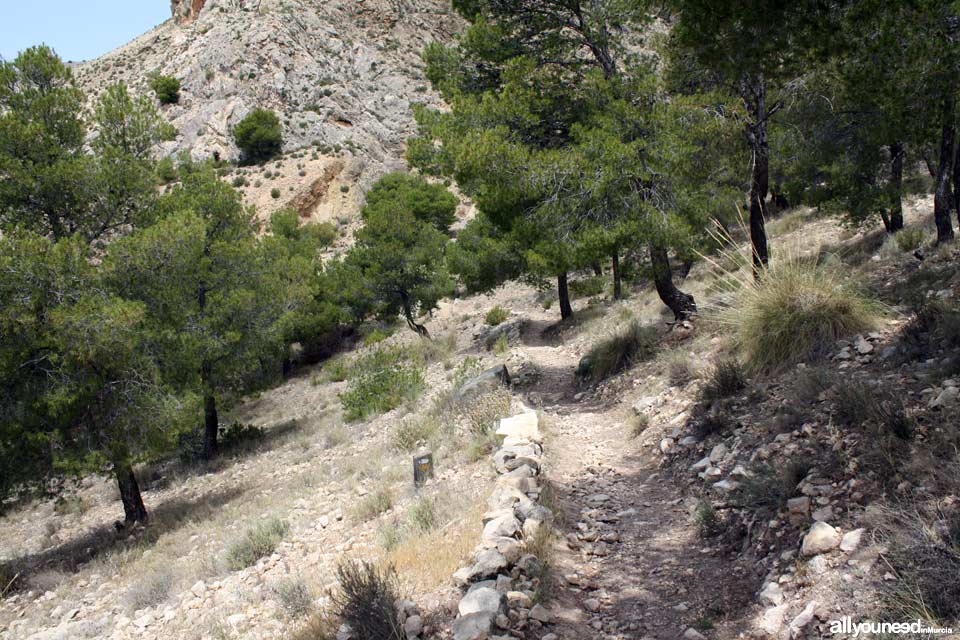 Sendero Castillo de Ricote