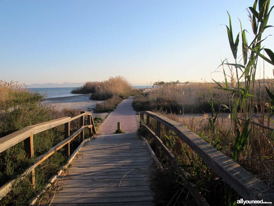 Playa de la Hita en los Alcázares