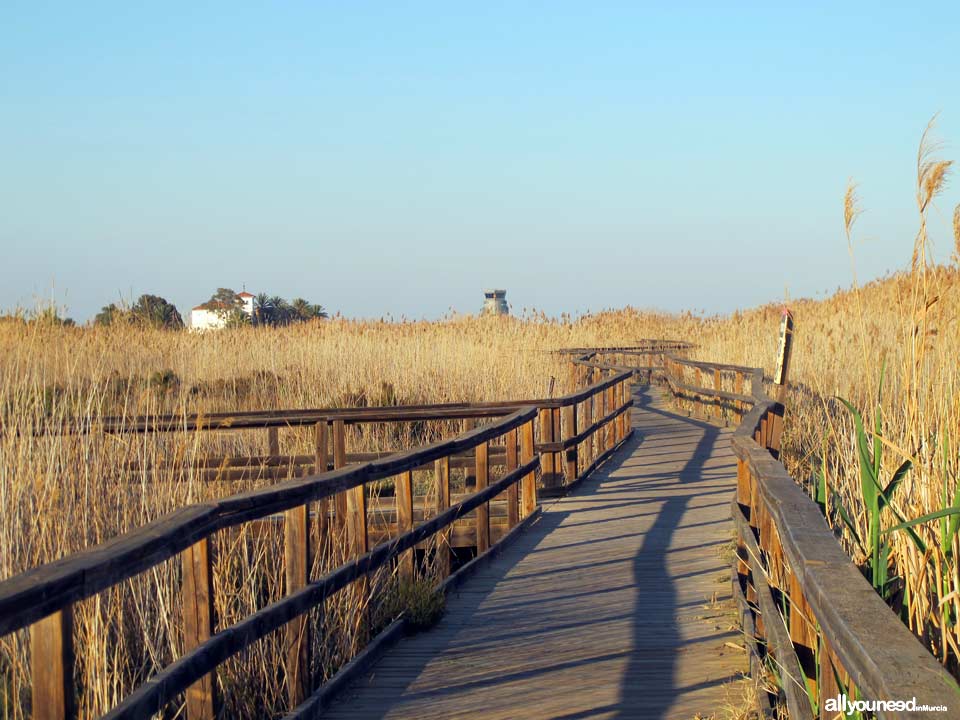 Playa de la Hita en los Alcázares