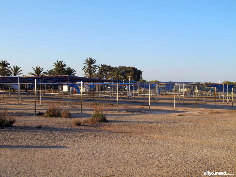 Playa de la Hita en los Alcázares