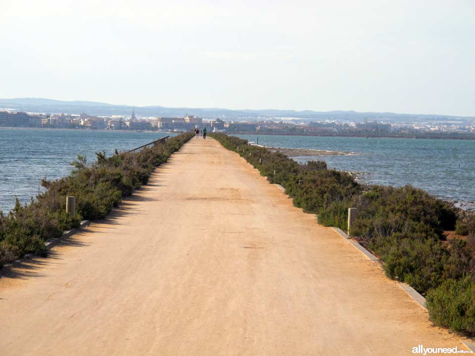 Regional Park  of the Salt Flats and Sand Areas of San Pedro del Pinatar