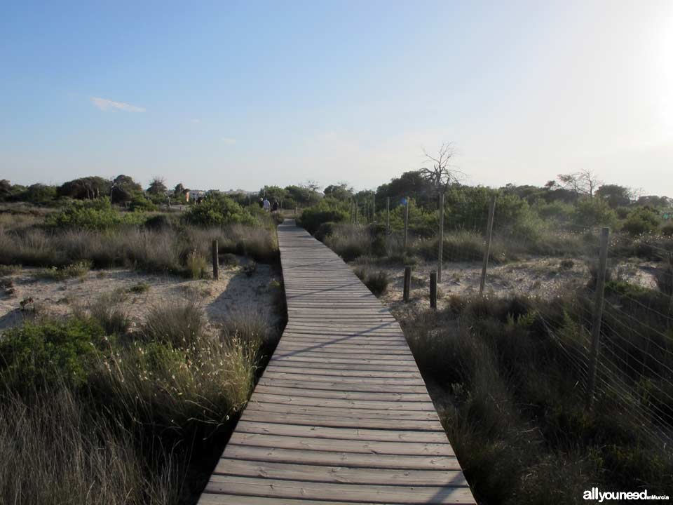 Regional Park  of the Salt Flats and Sand Areas of San Pedro del Pinatar