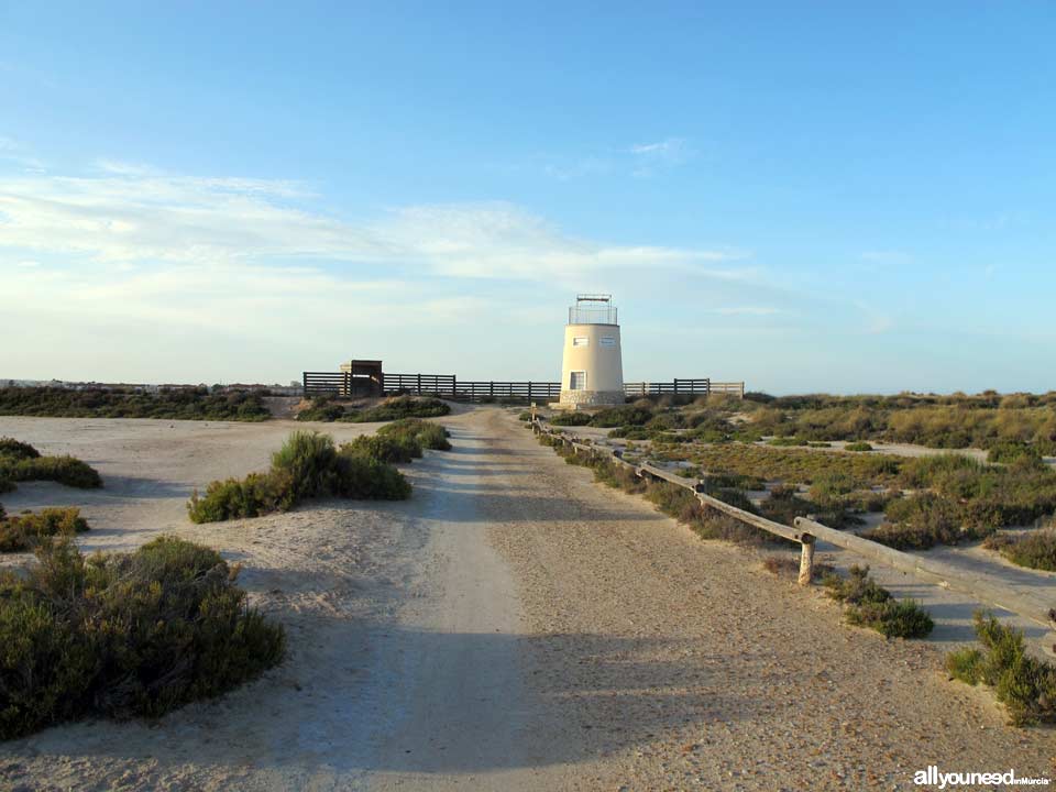 Regional Park  of the Salt Flats and Sand Areas of San Pedro del Pinatar