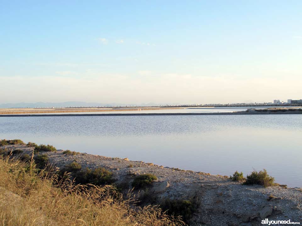 Regional Park  of the Salt Flats and Sand Areas of San Pedro del Pinatar